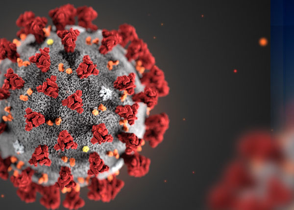 An artists representation of the COVID-19 virus