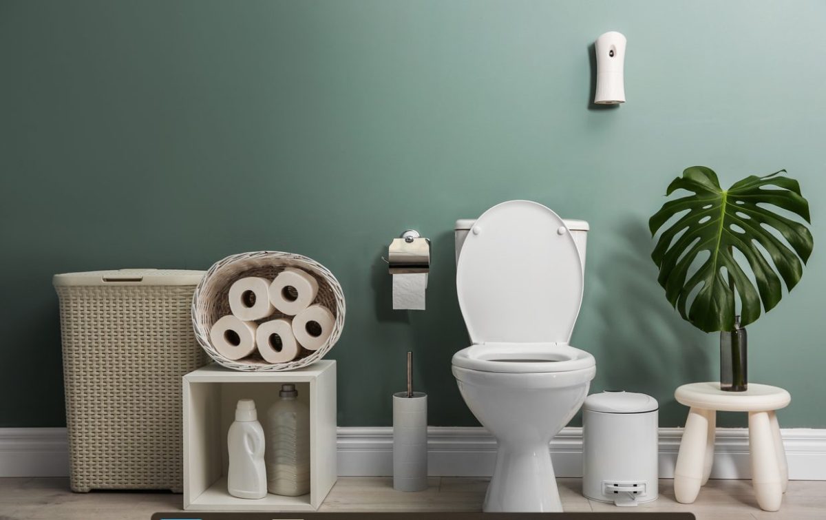 A Comprehensive Guide to Comparing EnergyEfficient Toilets
